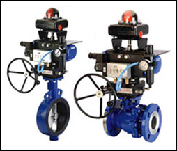 Butterfly valves